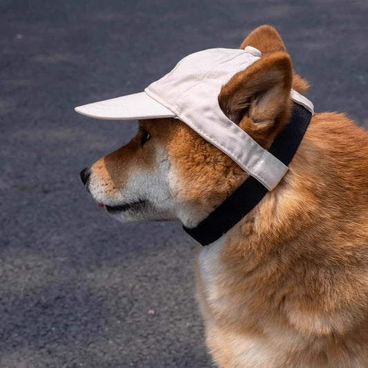 Dog Baseball Cap