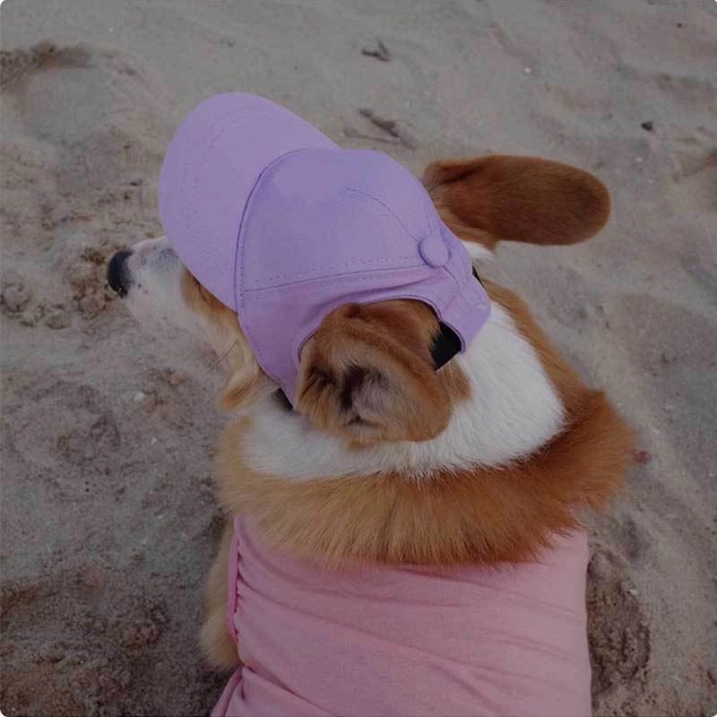 Dog Baseball Cap