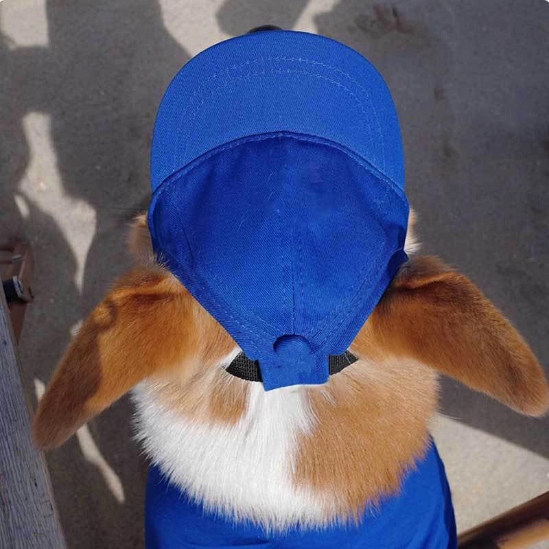 Dog Baseball Cap