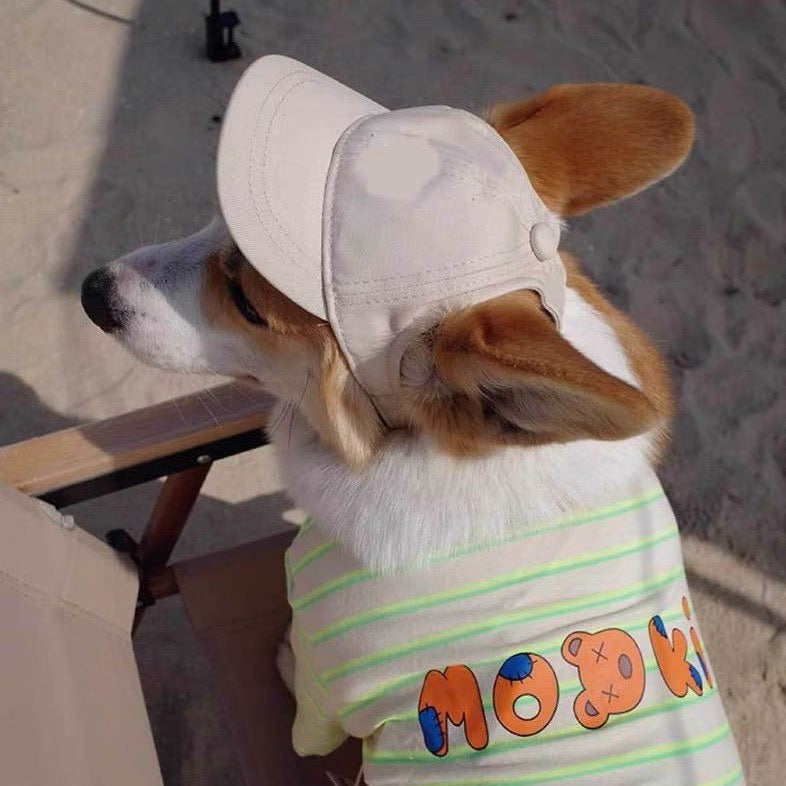 Dog Baseball Cap