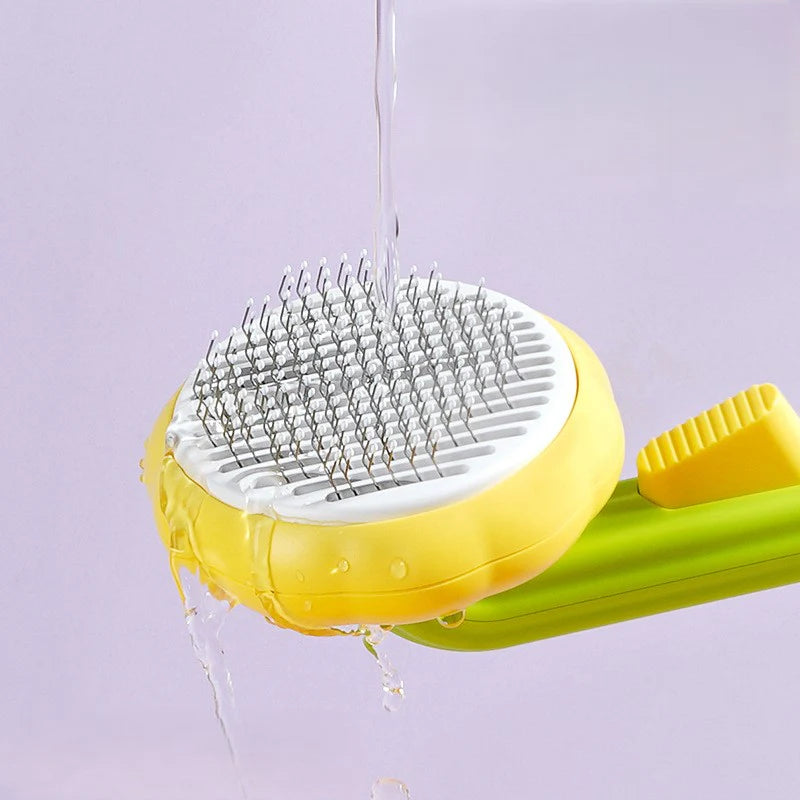 Sunflower Shape Pet Hair Brush